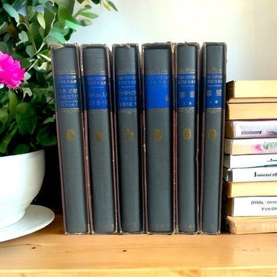 Rare Antique 1926 Dostoevsky Complete Works Japanese 6 Volume Hardcover Book F