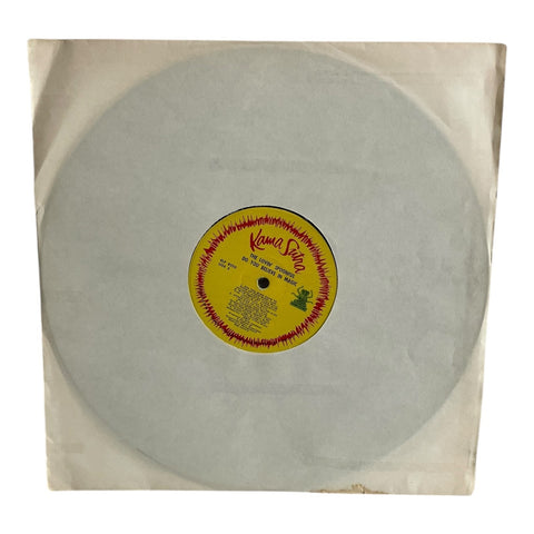 The Lovin' Spoonful Do You Believe In Magic 1965 Mono LP Kama Sutra KLP 8050