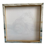 Pacific Touch Aimee Wilson Canvas Art Print SHELL Framed Wall Coastal Decor 16”
