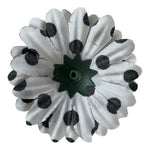 Black & White Polka Dot Fabric Flower Appliques 5pc DIY Craft 2.25in New