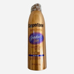 Coppertone Sunless Tanning Gradual Tan Continuous Spray Natural 6oz New