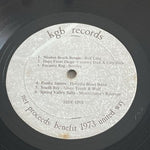 Various Artists – HOME GROWN 1973 Rock Blues Folk World Country KGB Records VG+