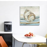 Pacific Touch Aimee Wilson Canvas Art Print SHELL Framed Wall Coastal Decor 16”