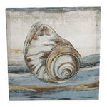 Pacific Touch Aimee Wilson Canvas Art Print SHELL Framed Wall Coastal Decor 16”