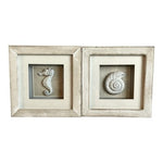 Unison Gifts Coastal Nautilus Seahorse White Shadow Box Wall Art Set of 2 6"x6"