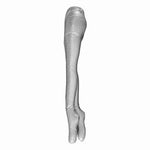 Inflatable Female Half Body Legs Mannequin PVC Stocking Legging Display 46" VG