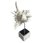 13" Tall White Murex Seashell Conch Nautical Decor Sculpture on Stand NWOT