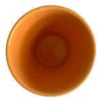 Edible Arrangements Custom Bright Orange Pottery Vase 4.75"x5.5" Planter Decor