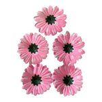 Light Pink & White Polka Dot Fabric Flower Appliques 5pc DIY Craft 2.25in New