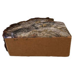 Triassic Woodworthia Petrified Wood Log Bookend Natural Polished 7" Brown VG