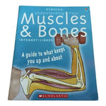 Usborne Understanding Your Muscles & Bones Children's Educational Book VG