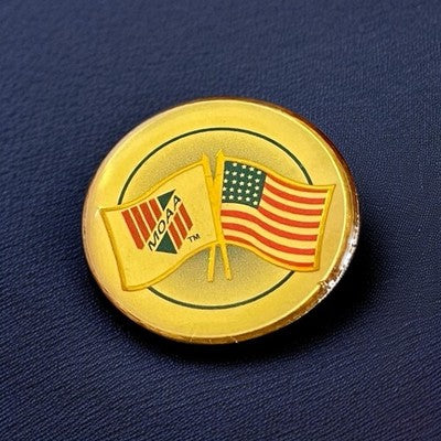MOAA Military Officers Association Epoxy Lapel Pin Vintage Flag 1” Badge Pin