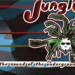 CD Jungle: The Sound Of The Underground