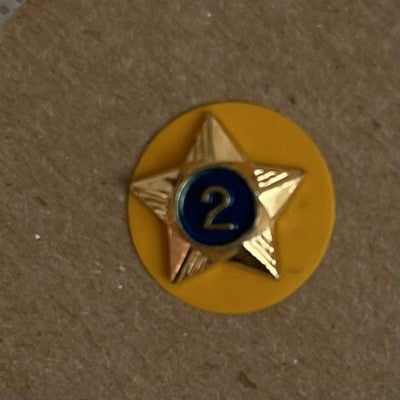 vintage Boy Scouts of America (BSA) Cub Scout 2-Year Service Star Pin