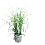 Artificial Grass Houseplant Arrangement Ribbed Textured Ceramic Pot Planter VG