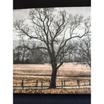 A Cloudy Day Artwork Enamel Picture Wooden Frame Print