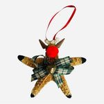 Starfish Rudolph Reindeer Shell Christmas Ornament Multicolor Handmade