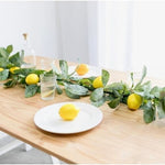 Lemon Garland 6ft Green Yellow Orange Fruit Vine Spring Summer Decor NIP