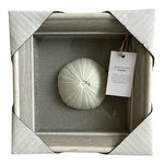 NEW Coastal Shadow Box 9" Sea Urchin Shell Wall Art Beach Nautical Decor White