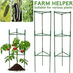 3-Pack Adjustable Tomato Cages NEW Plant Support Stakes Green Garden Climbing