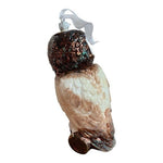 Rare Polish Blown Glass Owl Christmas Ornament 9" Handpainted Wooden Gift Box