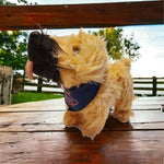 Goettl Air Conditioning Wheaton Terrier Dog Mascot Sadie Plush Puppy Stuffed Dog