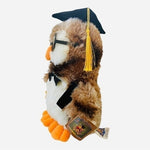 Graduation Wisdom Owl Plush 13" Calplush Multicolor Stuffed Animal NWT Keepsake