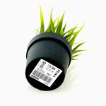 IKEA Fejka Artificial Potted Wheat Grass Plant Black Green 8” Indoor NWT