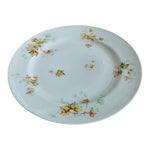 Vintage HAVILAND LIMOGES France Autumn Leaf Dinner Plate 9.75" Porcelain