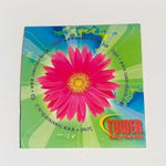Rare! CD Various ‎– No Curfew (Tower Records • Video • Books)
