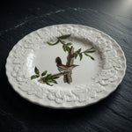 Alfred Meakin Audubon Birds of America Bewick's Wren Plate #18 Thryomanes Bewick