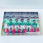 2011 U-17 World Cup Mexico Team Collectible Glass Print Frame 8"x6" New in Box