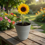 Gray Ceramic Flower Pot Minimalist Round Plant Planter 5.25"x5.5" VG