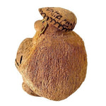 Monkey in Love Punta Cana Coconut Souvenir 6.5" Handcrafted Caribbean Figurine