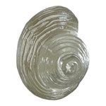 Clear Glass Seashell Paperweight Collectible Coastal Decor Art Figurine 4" Good
