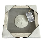 Coastal Sand Dollar Shadow Box Wall Art White Grey Glass Seashell Decor 9x9" New
