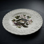 Alfred Meakin Audubon Birds of America Band-Tailed Pigeon Plate #367 EXC 9"