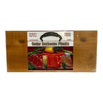 Cedar Cooking Planks Trailblazer Pack Set of 2 Super Premium 15x7 Grill Oven NWT