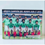 2011 U-17 World Cup Mexico Team Collectible Glass Print Frame 8"x6" New in Box