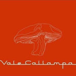 CD Cafe Tacuba - Vale Callampa