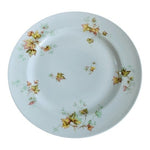 Vintage HAVILAND LIMOGES France Autumn Leaf Dinner Plate 9.75" Porcelain