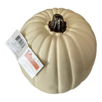Celebrate It Large Cream Pumpkin Tabletop Decor Thanksgiving Fall Accent NWT