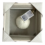 NEW Coastal Shadow Box 9" Sea Urchin Shell Wall Art Beach Nautical Decor White