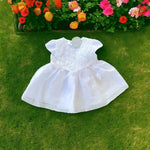 Little Blessings Baby Girl White Sheer Tulle Dress Rose Embroidered Princess NWT