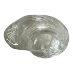 Clear Glass Seashell Paperweight Collectible Coastal Decor Art Figurine 4" Good