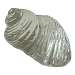Clear Glass Seashell Paperweight Collectible Coastal Decor Art Figurine 4" Good