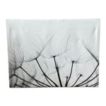 Dandelions Canvas Wall Art Whispers Prairie Smoke Ilona Wellmann Print 24"x18"