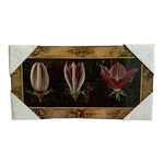 F. Di Villeneuve Awakening Campanula Framed Art Print Signed Vintage Wood 17.5"