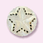 Vintage 1950s Hand Carved Mother of Pearl Star Brooch White 1.25" Collectible VG