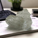 Clear Glass Seashell Paperweight Collectible Coastal Decor Art Figurine 4" Good